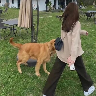 黑色诞生